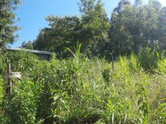 Vacant Land / Plot for sale in Kikuyu