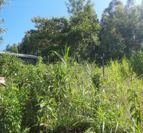 Vacant Land / Plot for sale in Kikuyu