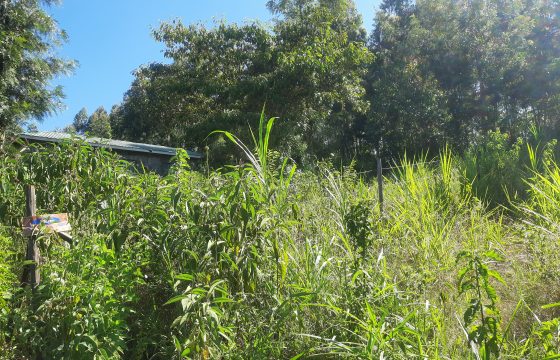 Vacant Land / Plot for sale in Kikuyu