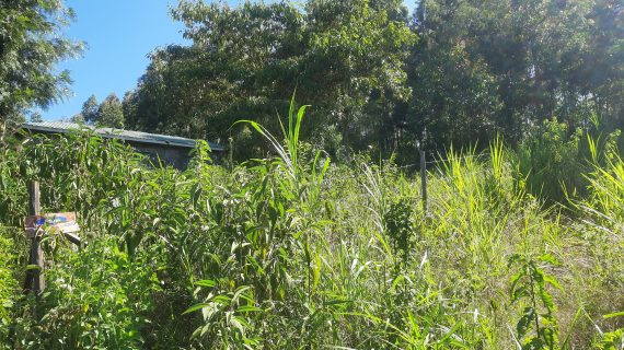 Vacant Land / Plot for sale in Kikuyu
