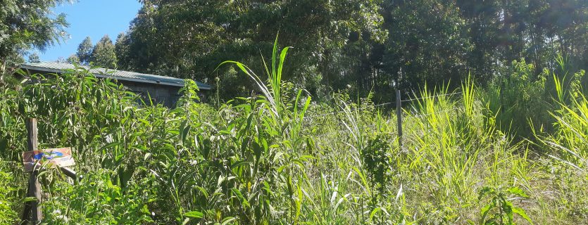 Vacant Land / Plot for sale in Kikuyu